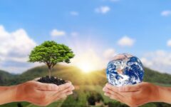 1622880036_environment-day-ecosystem