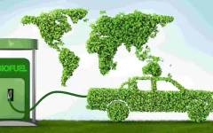 Biofuel – A Promising Alternative Fuel