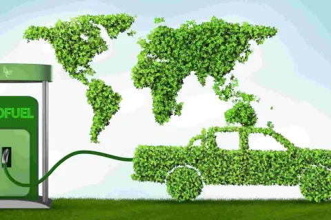 Biofuel – A Promising Alternative Fuel