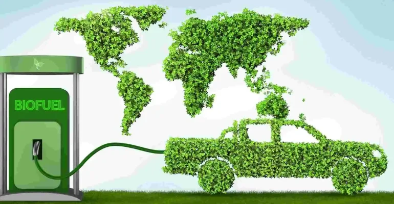 Biofuel – A Promising Alternative Fuel