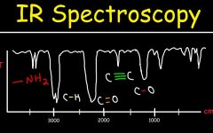 Theory and Interpretation of IR Spectra