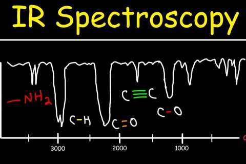 Theory and Interpretation of IR Spectra